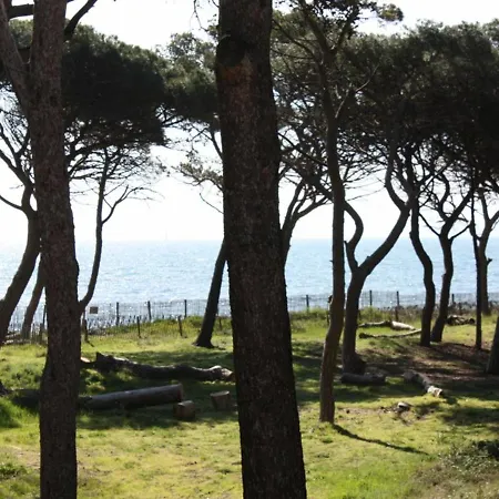 Maison Hyeres, 4 Pieces, 6 Personnes - Fr-1-335-88 Сasa de vacaciones
